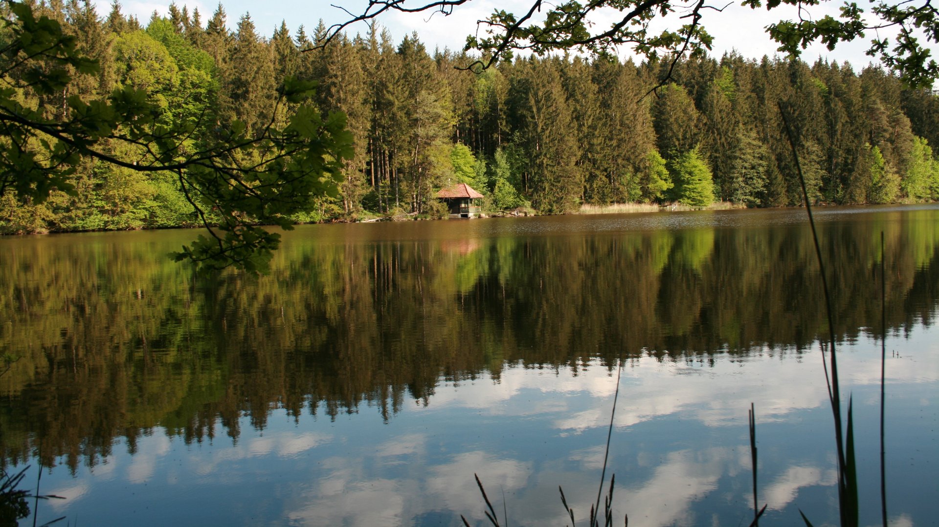 Roter Weiher